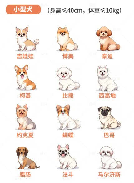 心动小镇36种常见狗狗一览