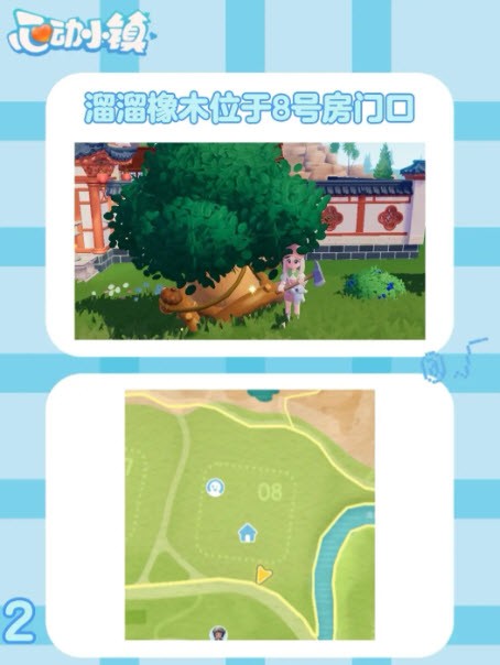 3月12日心动小镇无暇萤石和溜溜橡木位置