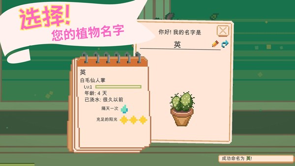 窗口花园安卓版截图3