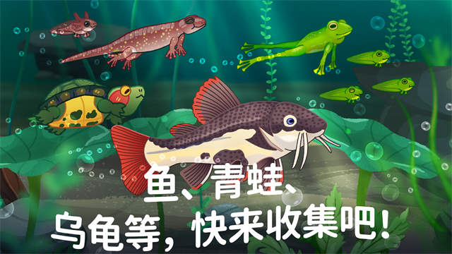 池趣中文版