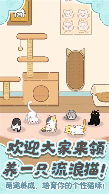 领养一只流浪猫安卓版