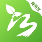 拳皇97OL安卓_拳皇97OL下载_拳皇97OL