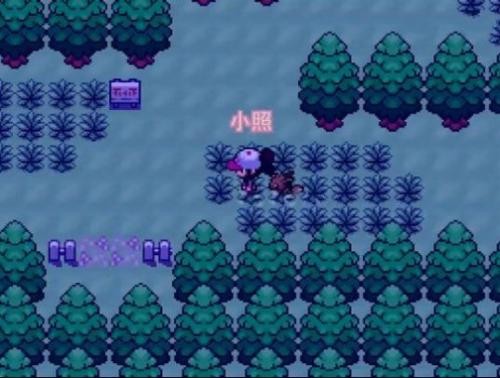 口袋妖怪零维e界2026官方正版下载截图2