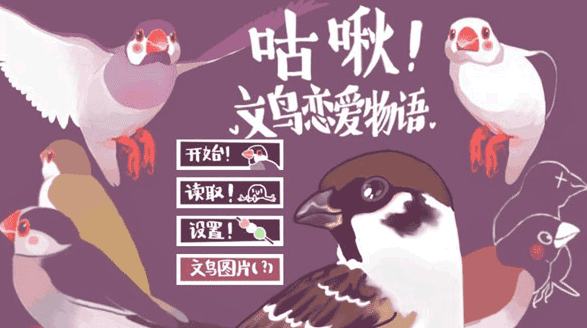 文鸟恋爱物语2026最新版