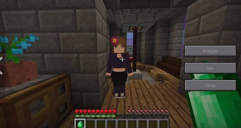 珍妮模组直装版安装包2026截图3