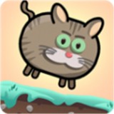 快乐的肥猫游戏下载
